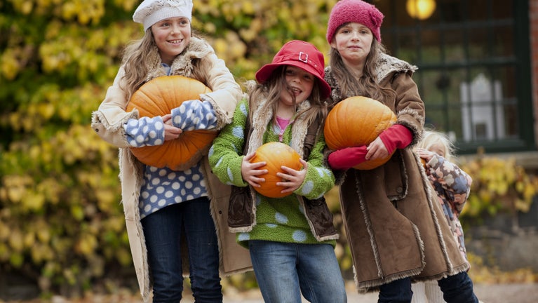 Visitors enjoying autumnal pumpkins in the stableyard at Rowallane Garden
